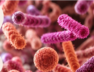 Illustration du microbiote intestinal